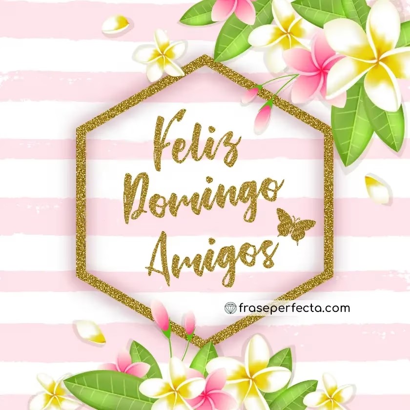 Louis Angelica Scandela tweet media