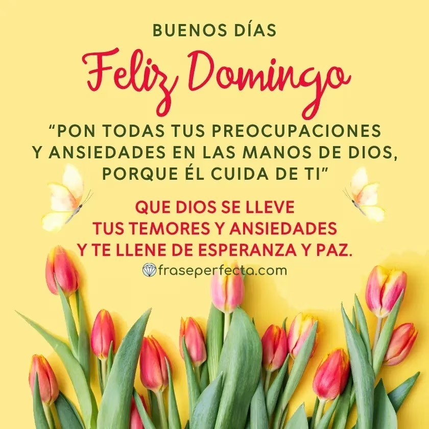 Louis Angelica Scandela tweet media