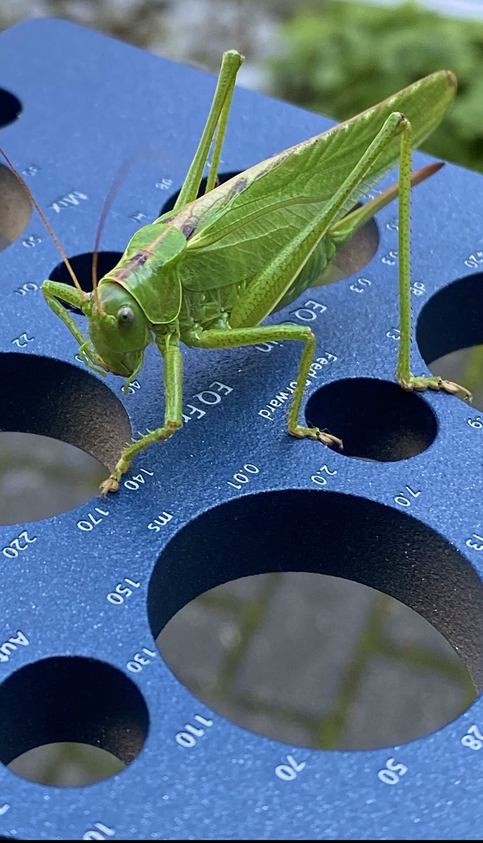 elysia_audio's tweet image. “Guys, how did you make the edges so sharp and smooth at the same time? And labeling… Did you laser it?!” Of course we did! Everyone who comes close to our #alphacompressor holds the breath for a second and appreciates the love for details that we invested in the design.