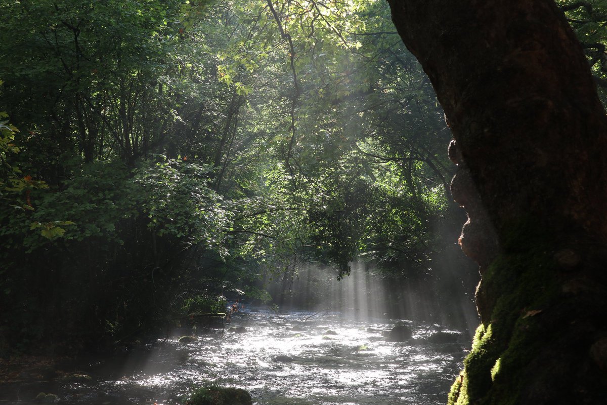 Kyve13's tweet photo. #NaturePhotography #photography 
#CanonEOS #PhotographyIsArt #photoart 
#Earth #nature #Greece #Summer #Water 
#photographer #photographers #photographylovers https://t.co/PRG49PKU7r