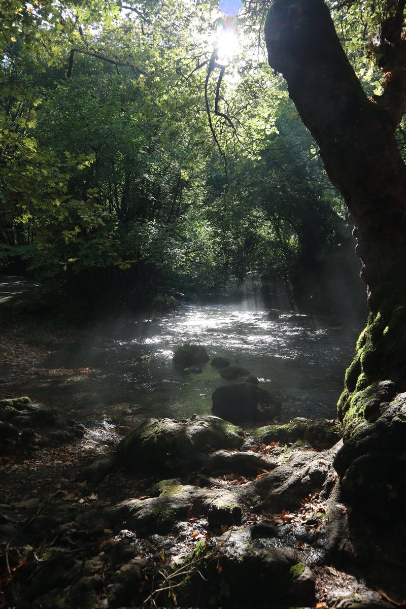 Kyve13's tweet photo. #NaturePhotography #photography 
#CanonEOS #PhotographyIsArt #photoart 
#Earth #nature #Greece #Summer #Water 
#photographer #photographers #photographylovers https://t.co/PRG49PKU7r