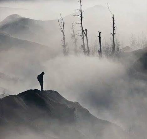 تخيل تخاف م اللي كانلك أمان
وكان ضي عينك
وكان سلسبيلك .
تخيل سبيلك كَساه الضباب .
فحلمك يصارع في بحر الغياب.
وساب اللي كانلك كـ طوق النجاة.
تخيل حياتك .
بدون الحياة .
وتصلب في عودك وجواك خريف .
وكل اللي جنبك ، بيصبح مخيف .
وبتشوف حقايق مكنتش شايفها
كأن الملامح بقت شئ شفيف .

؛✍️