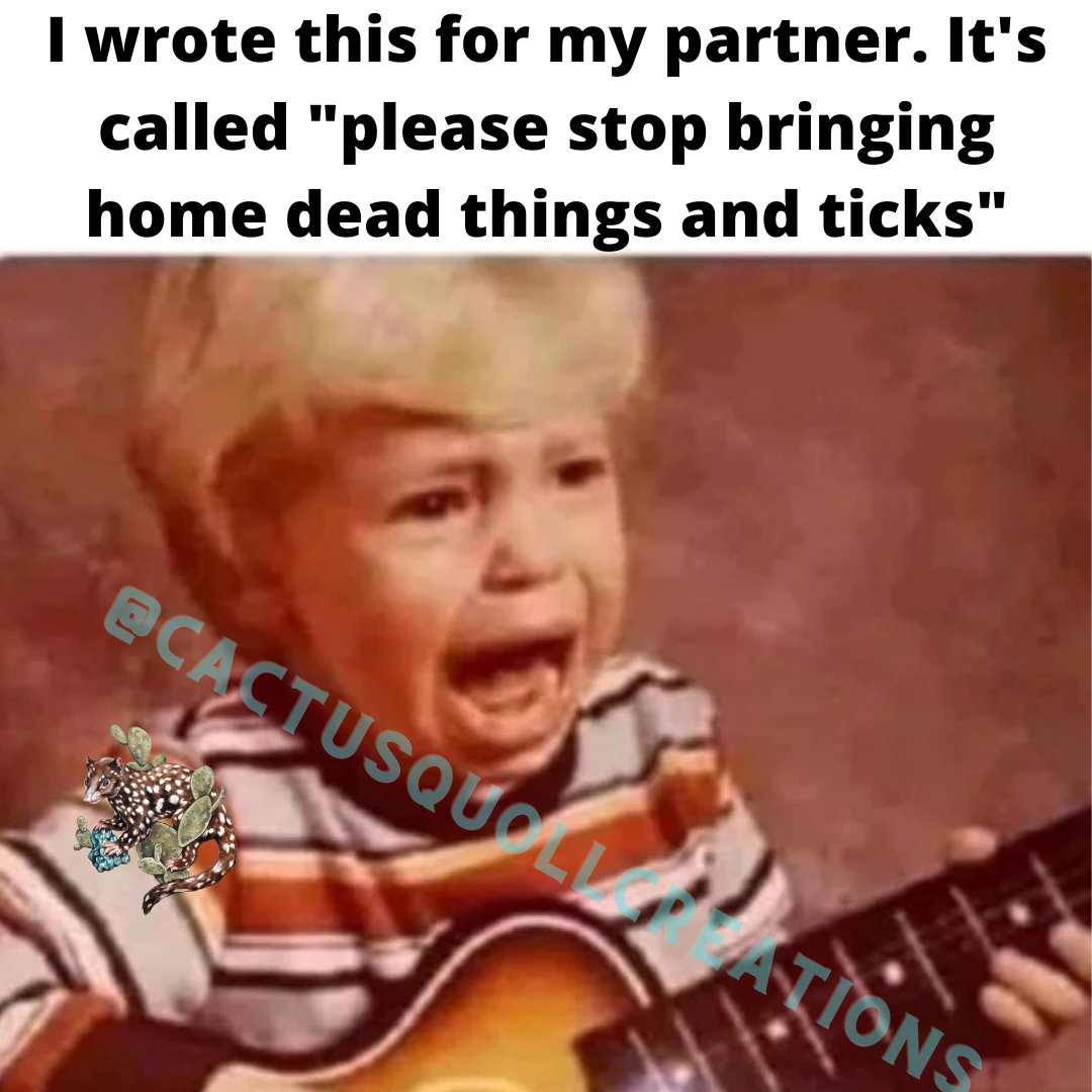 Gael Sanchez (she/her) (@cactusquoll) on Twitter photo 