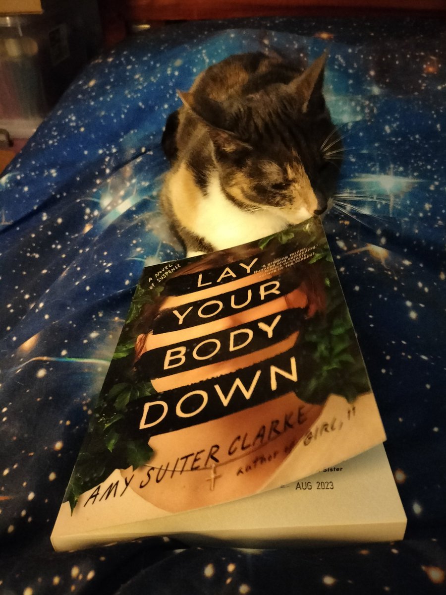 TezMillerOz's tweet photo. The inspector at work. @asuiterclarke @text_publishing #booktwt #BookTwitter #amysuiterclarke #layyourbodydown #amreading #textpublishing #CatsOfTwitter #cat https://t.co/UDaFsQovYw