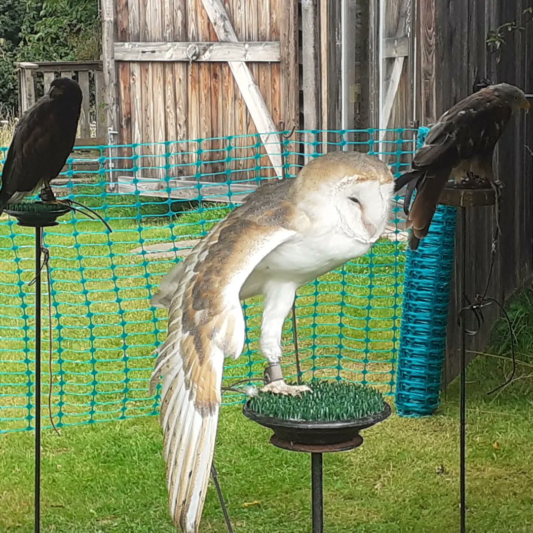 Wow what an incredible day on our Festival of Wildlife! 650 people attended and they loved it. Thanks to everyone who came or contributed! <a href="/Skull_Bloke/">Ric Morris</a> <a href="/savebutterflies/">Butterfly Conservation 🦋</a> <a href="/HerefordshireWT/">Herefordshire Wildlife Trust</a> <a href="/HeritageFundUK/">The National Lottery Heritage Fund</a> @clan_cic