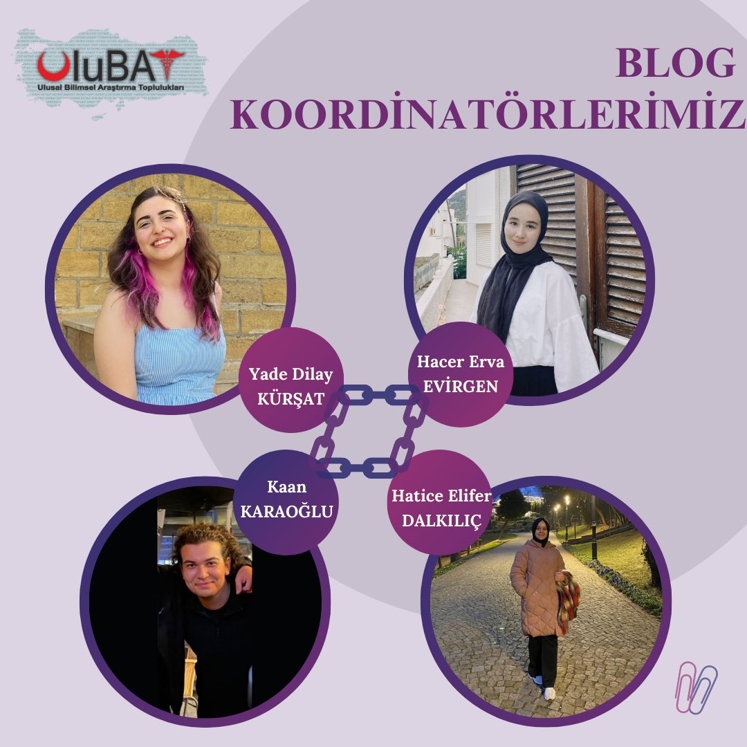 UluBAT tweet media