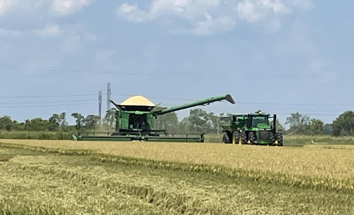 31 straight days of work for Team Supreme as we continue grinding through the South LA rice harvest. #thinkrice