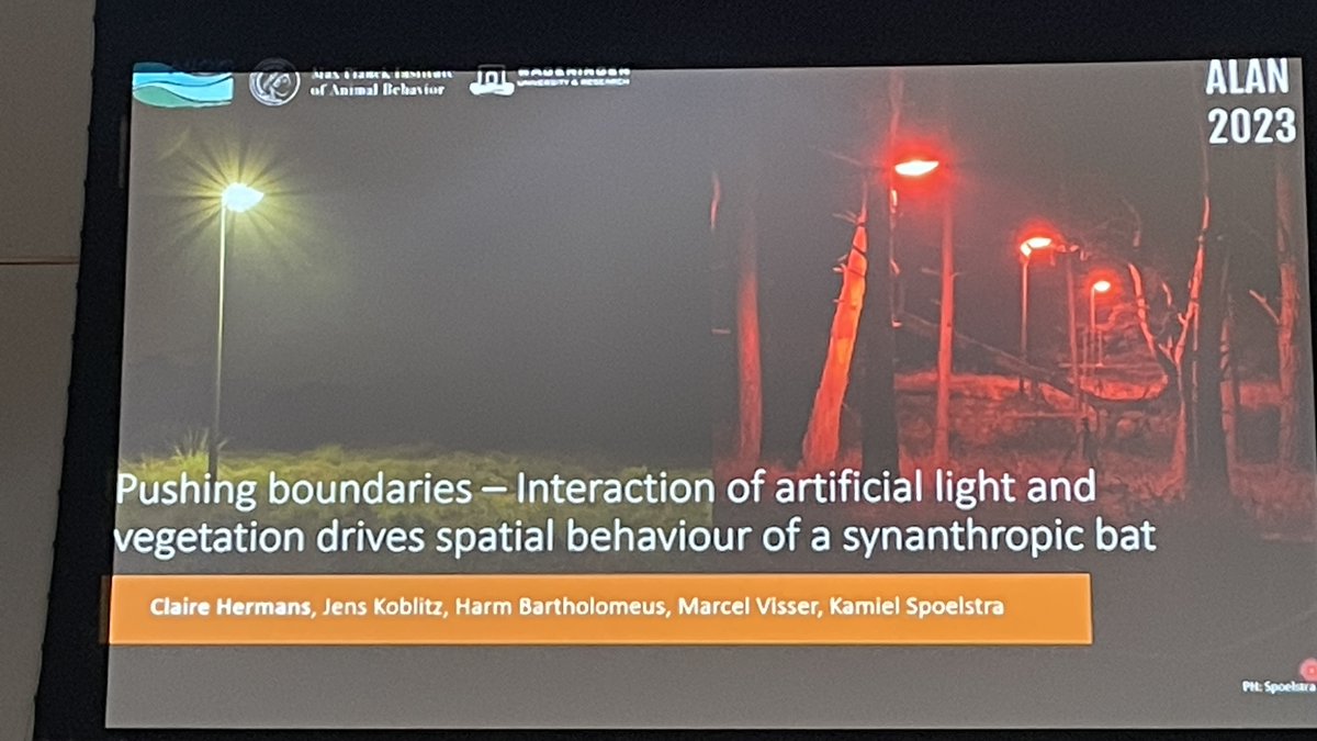 JohnBarentine's tweet photo. Claire Hermans (Netherlands Institute of Ecology) used a combination of acoustic tracking of bats and LiDAR scans of the environment to reconstruct the foraging behavior of bats exposed to different experimental light treatments in the field. #ALAN2023 https://t.co/LPGBeEn53K