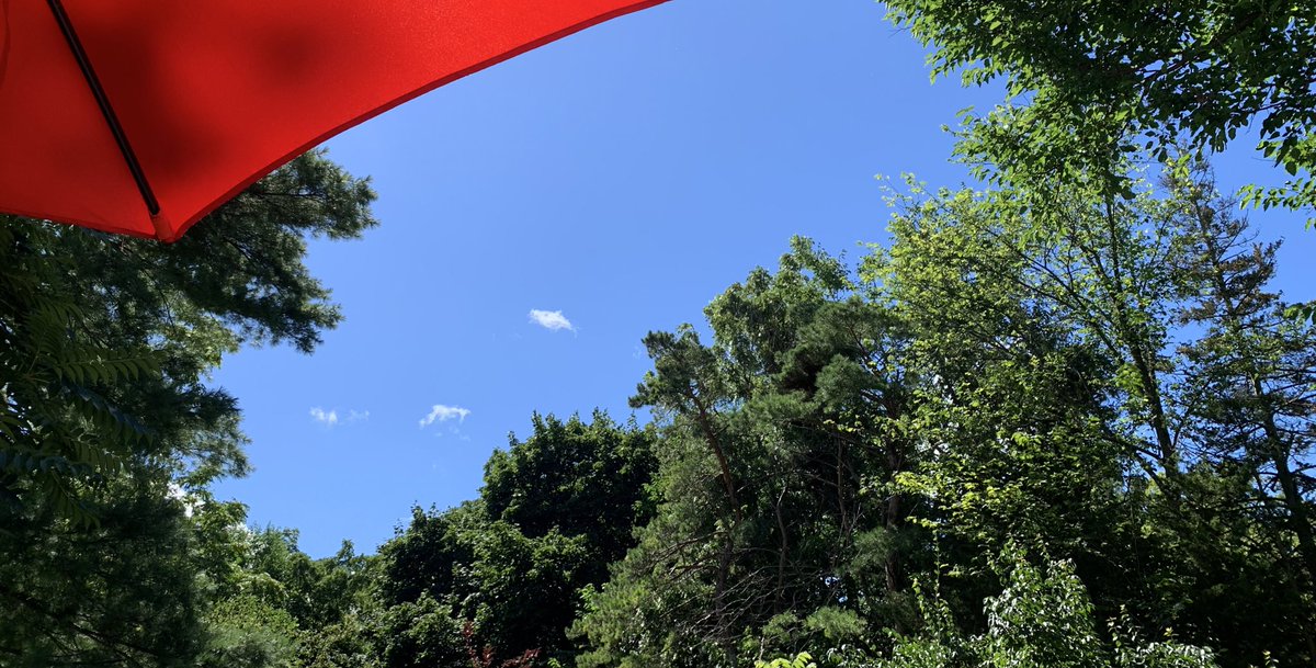 JenLRPhoto's tweet photo. Definitely a good day to be outside, hope your Sunday is filled with rest and adventure :)
#sundayvibes #Ontario #gta #August2023 #NatureIsBeautiful https://t.co/7Ck8eHbcz9