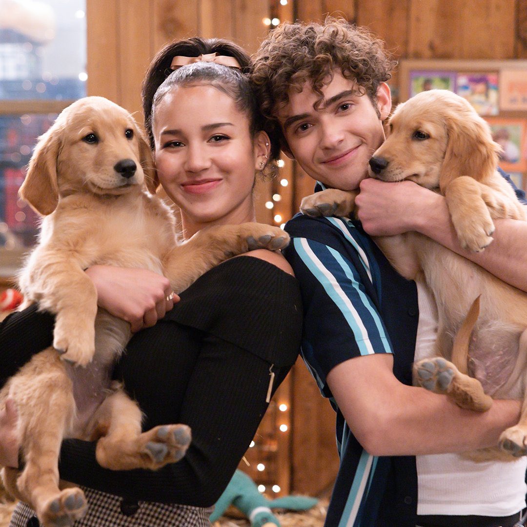 rxckysgina's tweet photo. justice for the people who knew ricky and gina were dog people 😁😁😁 https://t.co/NL53gyveiU