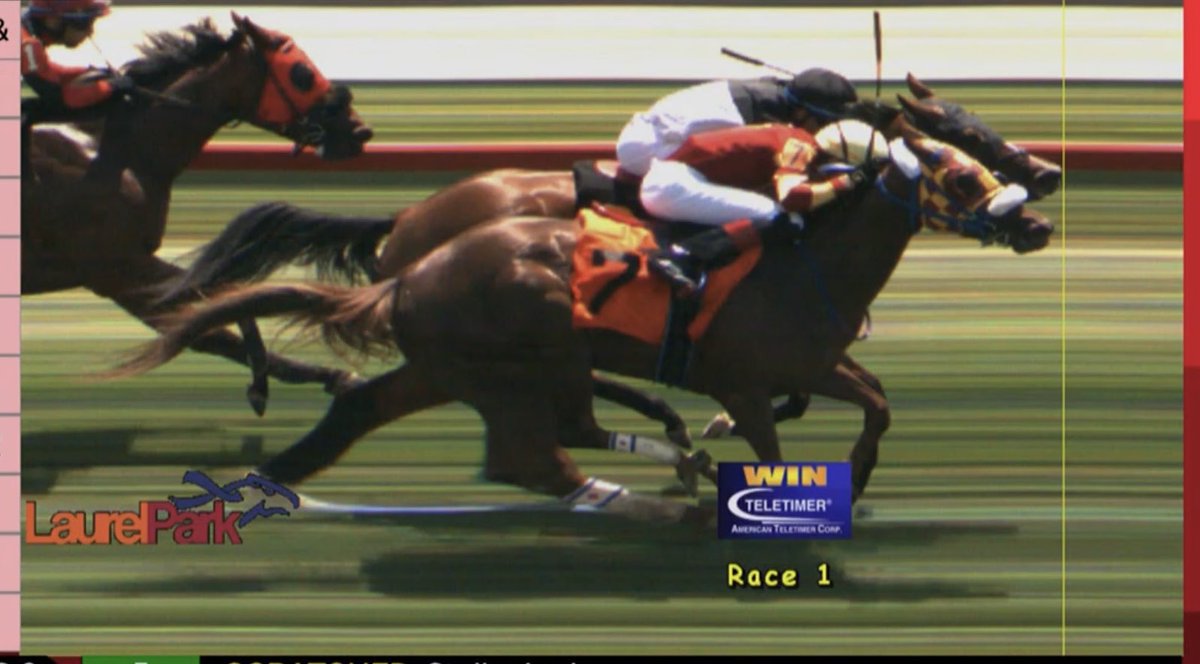 browch05's tweet photo. Would you consider this bad luck for Gatita Suave in her last 2 races? #Seconditis https://t.co/12nTe6LHaU