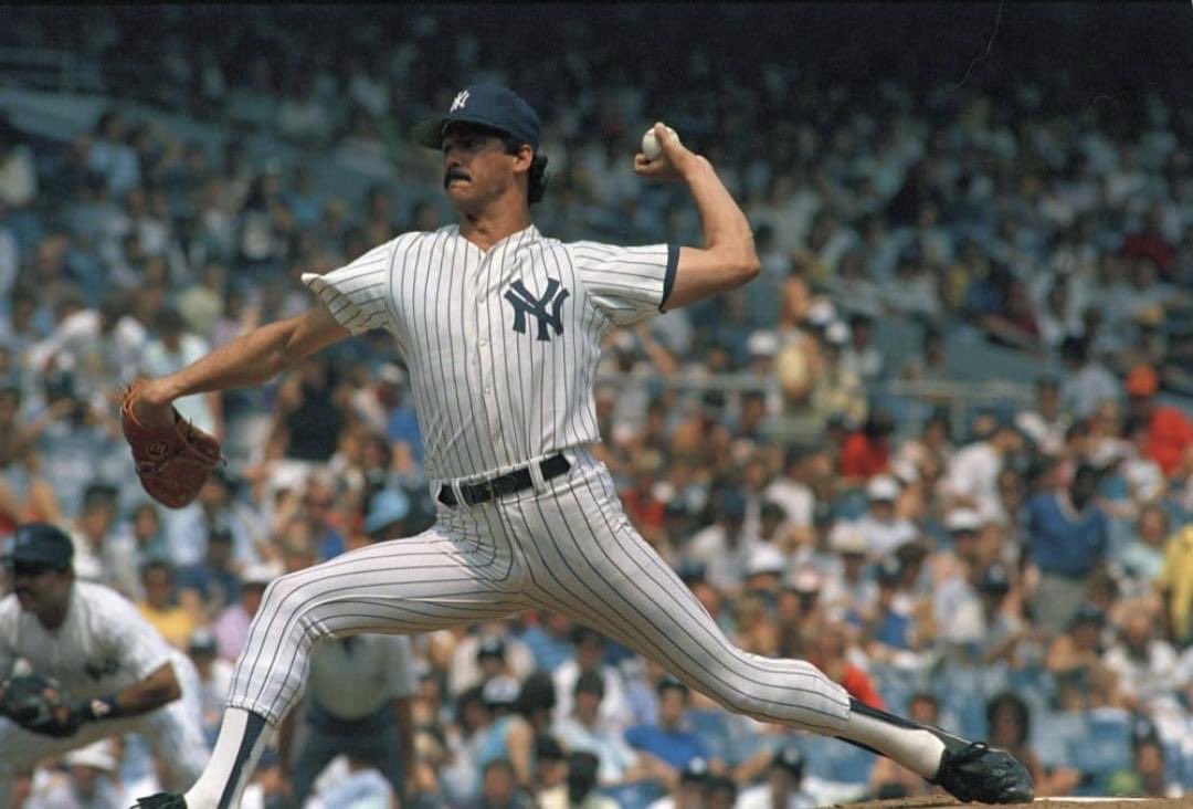 🅃🄷🄴 🄱🅁🄾🄽🅇 🅉🄾🄾 tweet media