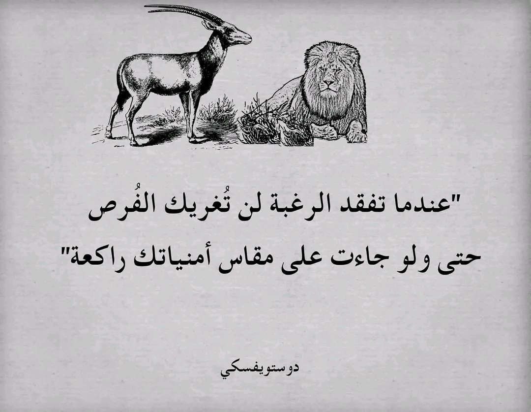 Mhmd fargaly22K👌 (@mhmdd1970) on Twitter photo 