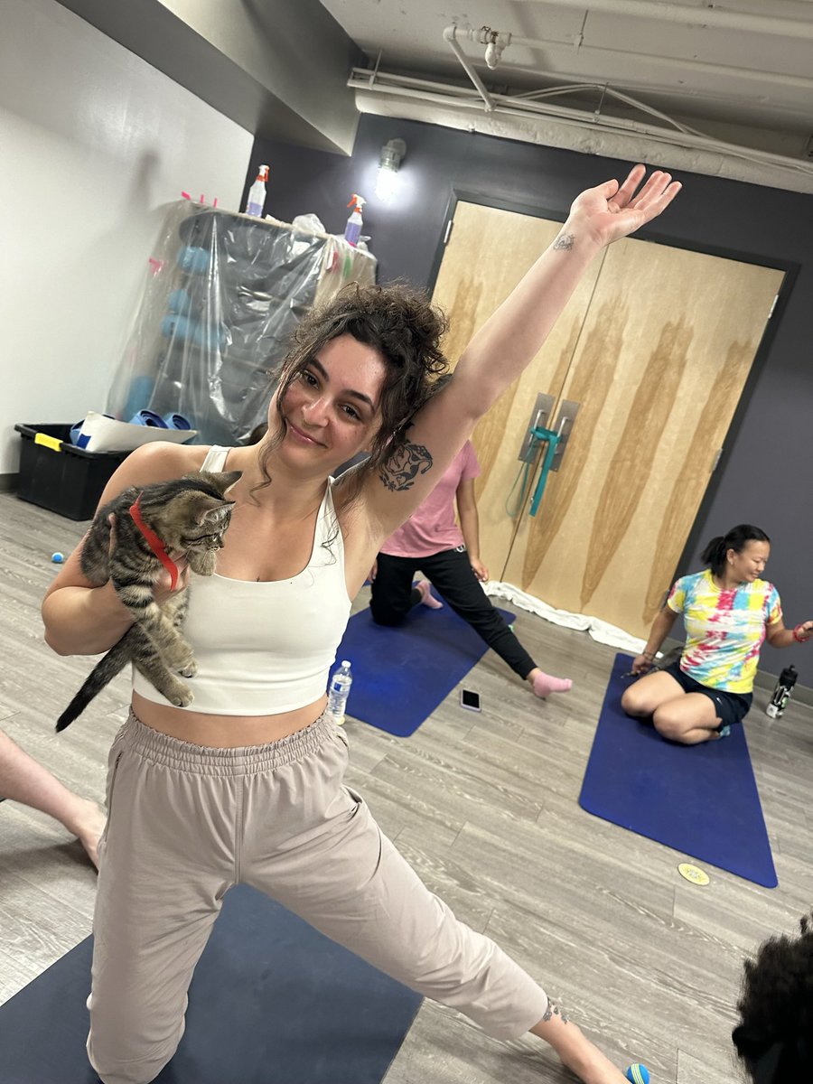 AlexAnimals's tweet photo. We had another packed house for two sessions of Kitten Yoga at Movement Gyms DMV - Crystal City! 🐾 This purr-fectly social bunch had a BLAST getting extra playtime and snuggles. Thank you to everyone who attended!
#alexanimals #alexandriava #novacats #dmvcats #kittenyoga https://t.co/yBEY8bxsNQ