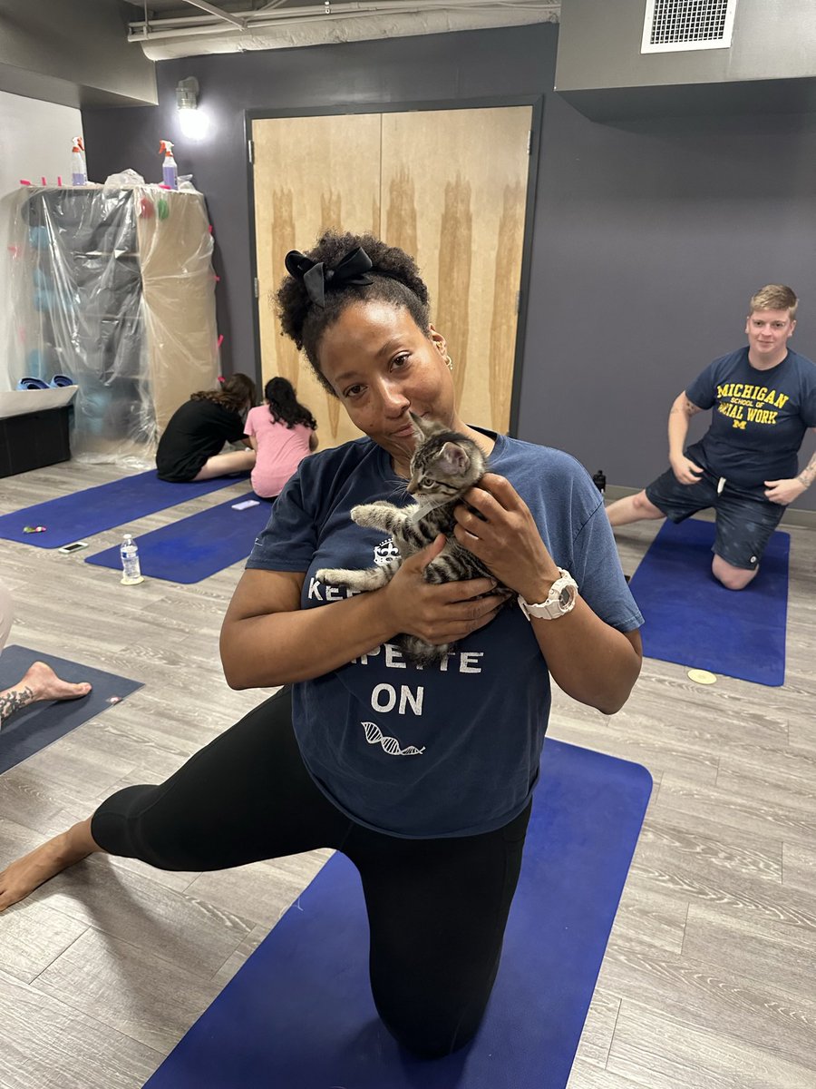 AlexAnimals's tweet photo. We had another packed house for two sessions of Kitten Yoga at Movement Gyms DMV - Crystal City! 🐾 This purr-fectly social bunch had a BLAST getting extra playtime and snuggles. Thank you to everyone who attended!
#alexanimals #alexandriava #novacats #dmvcats #kittenyoga https://t.co/yBEY8bxsNQ