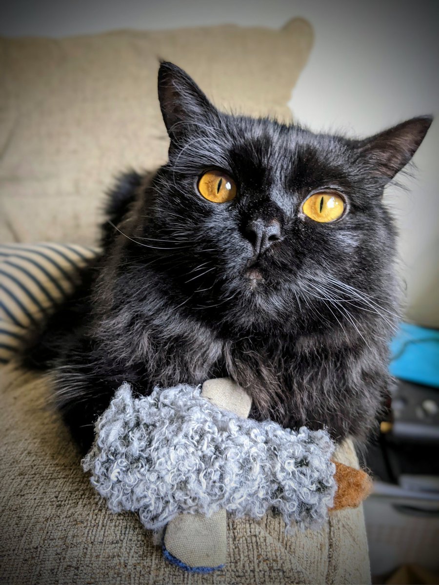 John (@nemoflexi) on Twitter photo 