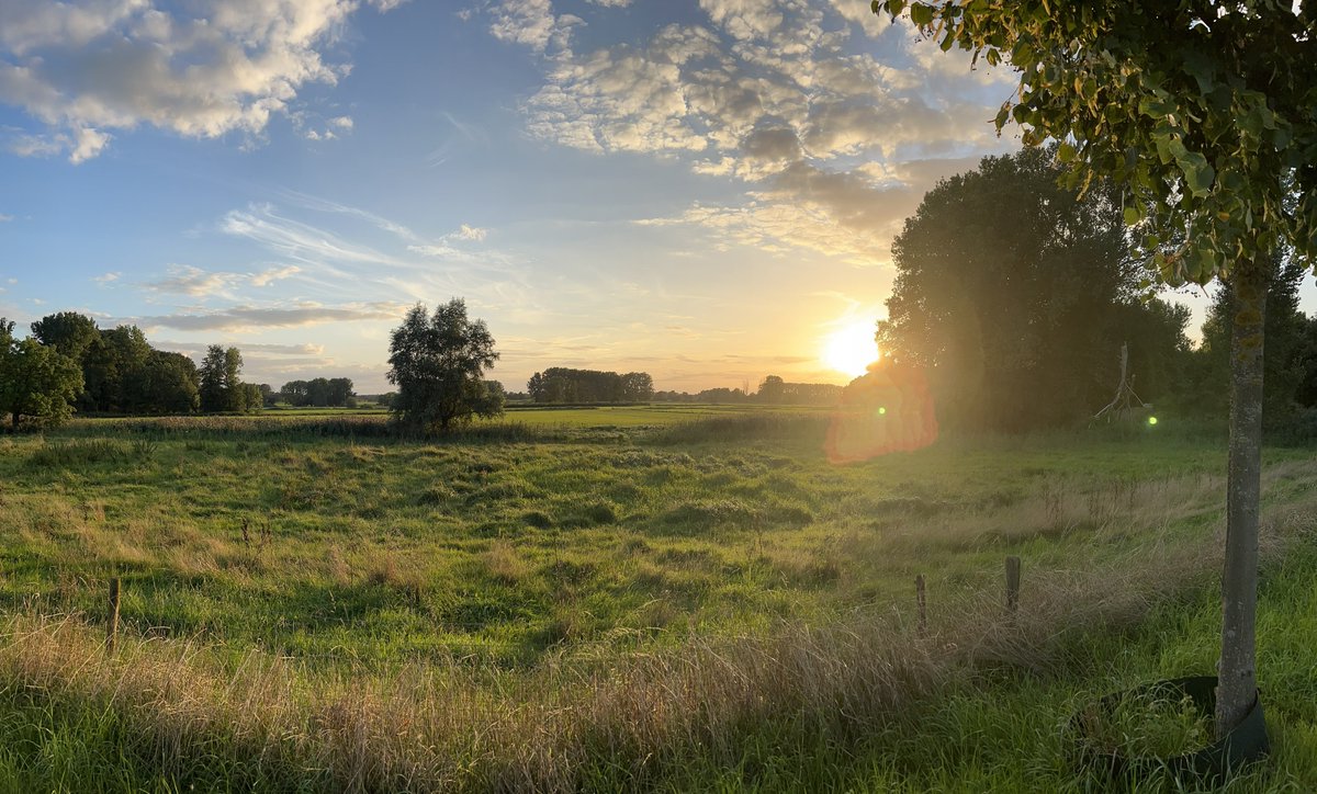 MFilter01's tweet photo. Wat een plaatje… #onourwayback https://t.co/cOWtFdp1Gf