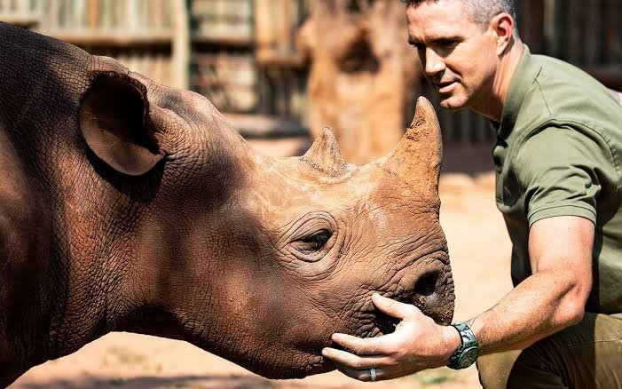 AyshahAwan's tweet image. &quot;They call themselves conservationists… conservation is not flying to South Africa and shooting a rhino, shooting a leopard, standing over a giraffe.&quot;
Kevin Pietersen 
#BanTrophyHunting 
#TrophyHuntingMustEnd 
#HuntingIsNotConservation
#SaveWildlife #SaveRhino 🦏
#endpoaching