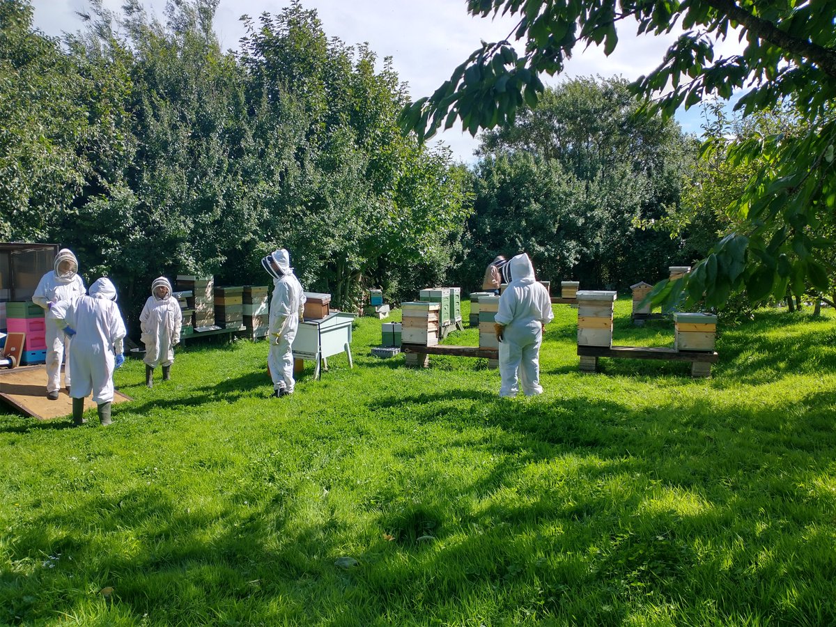 DistrictRamsey's tweet photo. Today we had a visitor to the apiary....none other that BBKA Vice Chairman Stephen Barnes and his wife Sara.
We had a great afternoon having a chat over a cuppa and showing off our lovely site. https://t.co/uTbZ6oWjA8