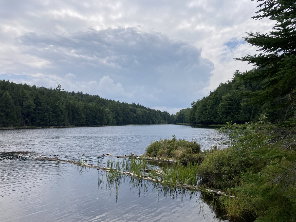 The view from our Lean-to on Long Pond. Reserve for just $35 a night with firewood provided. #Adirondacks