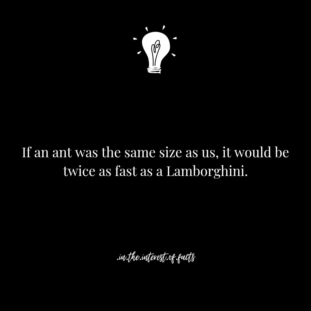 _Facts_Fun's tweet photo. True or False?
@FUNFACTS
.
#fun&amp;facts #interestingfacts #justfacts https://t.co/cwhxXTrQAe