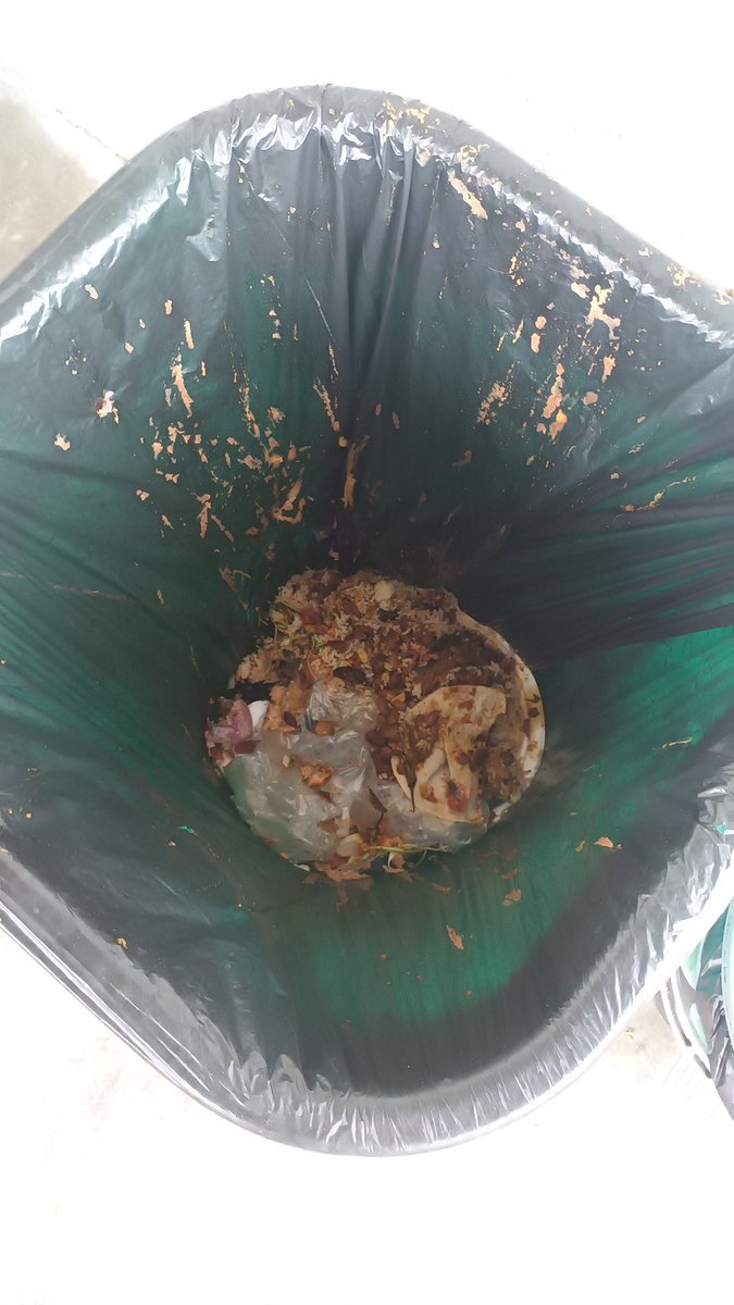 SreejaDeb10's tweet photo. It is past time for the PGs to start making significant efforts to prepare meals in a thoughtful manner as opposed to making them in large quantities. Every day from the PGs, a tremendous amount of food is wasted.
 #foodokwasteyaake
#ZeroWaste 
#Bengaluru https://t.co/81XLlRf4es