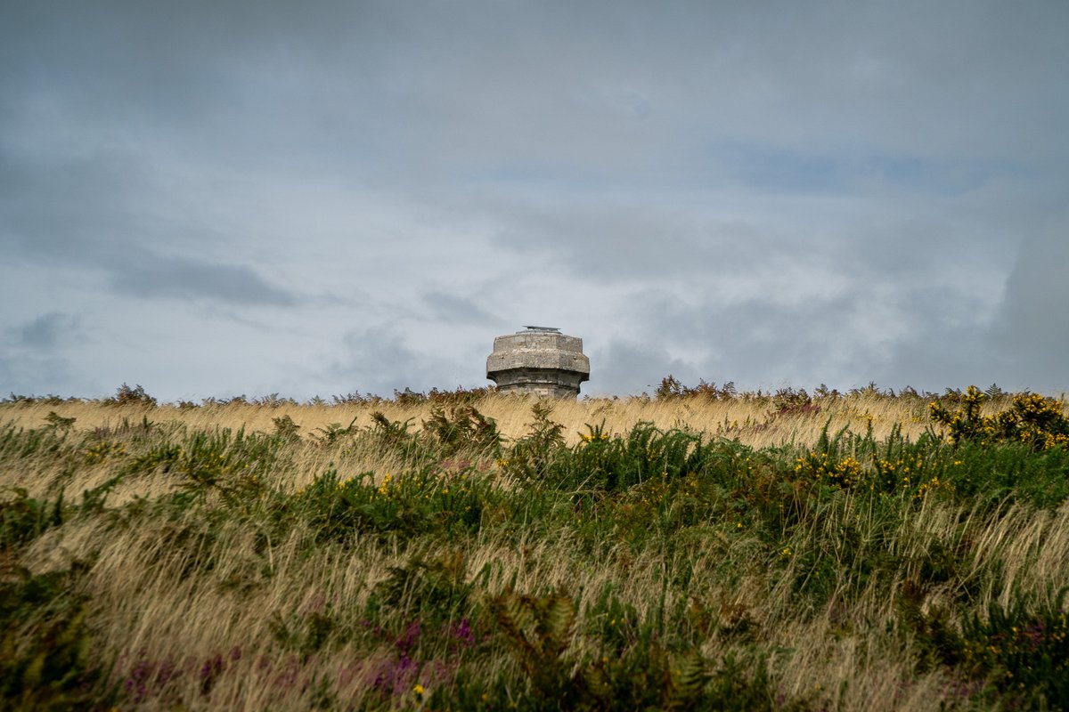 Wyke Creative 👨🏻💻👩🏼💻 tweet media