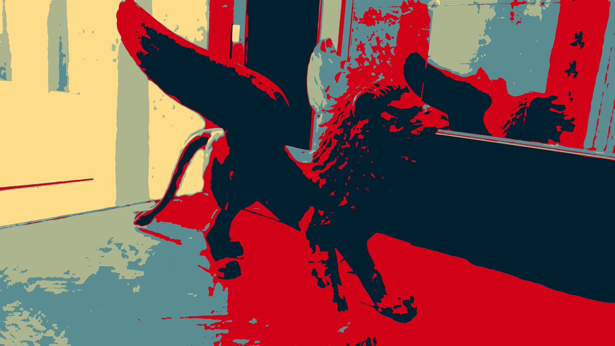 𓂀 𝓐𝓷𝓾𝓫𝓲 𓂀 tweet media