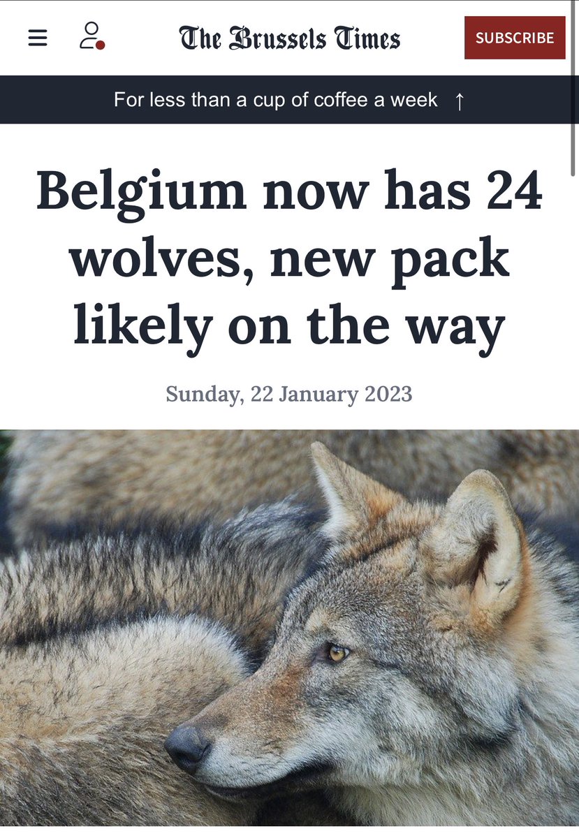 Ben Goldsmith tweet media