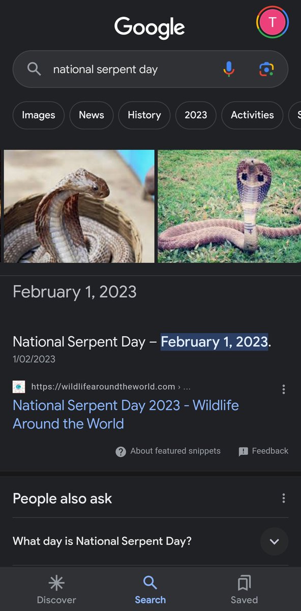 tessa (tsou version) tweet media