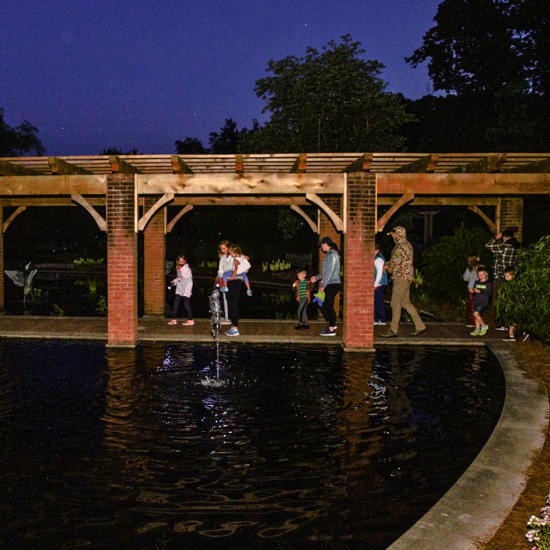 Enjoy a family camping trip right here in town! Have a hot dog dinner, a chance to see the garden after dark with a guided night hike, s'mores, and a bedtime story.
Register here: hsvbg.org/event/family-c…
#hsvgarden #camping #garden #nighthike