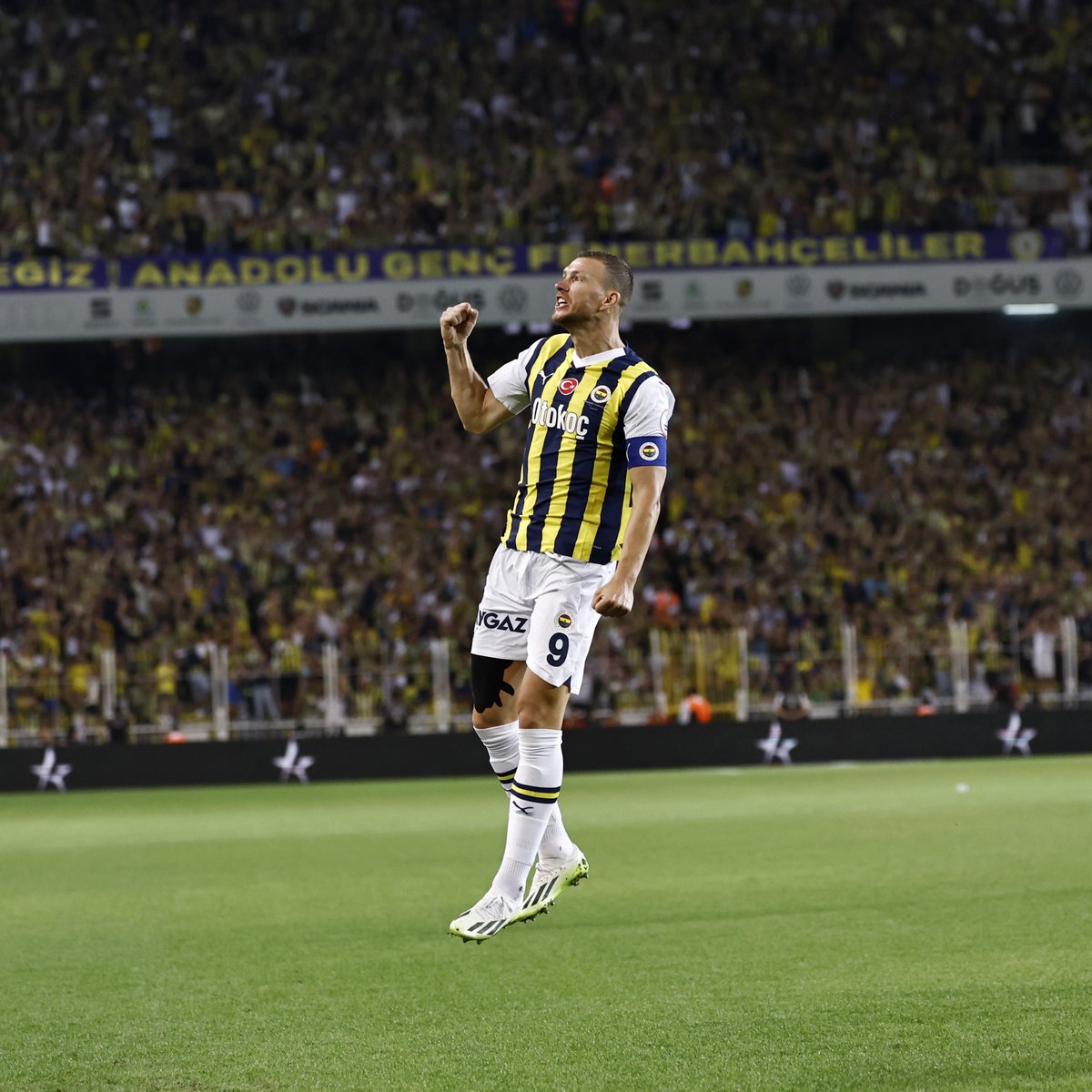 𝔼𝔻𝕀ℕ 𝔻ℤ𝔼𝕂𝕆 👊