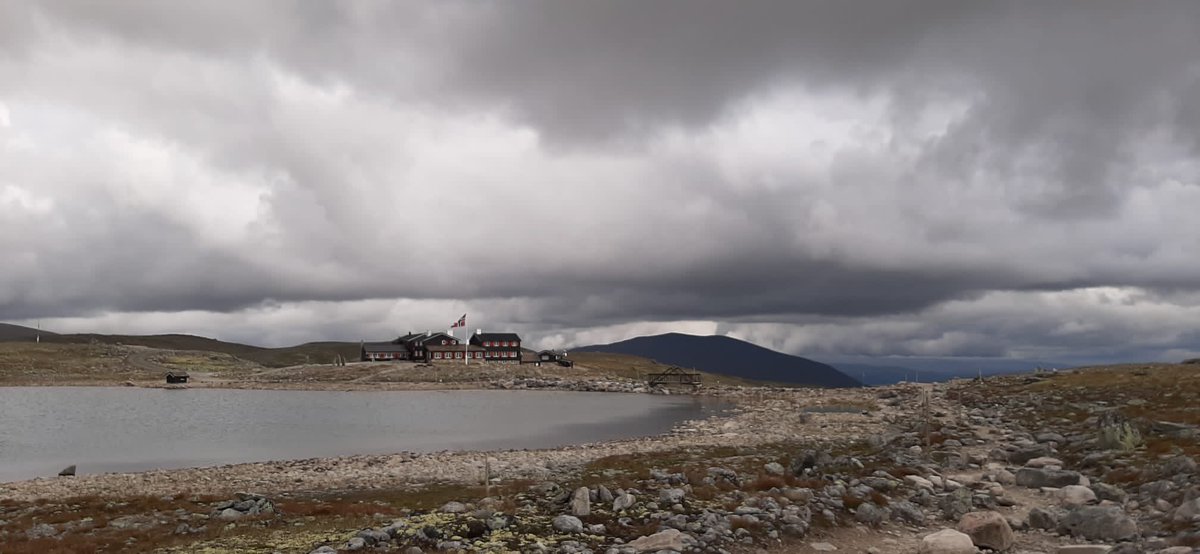 Sabine_Pronk's tweet image. Dieper #Dovrefjell in. Vlak onder de hoogste berg #Snøhetta die aan het eind van de middag bijna uit de wolken kwam.