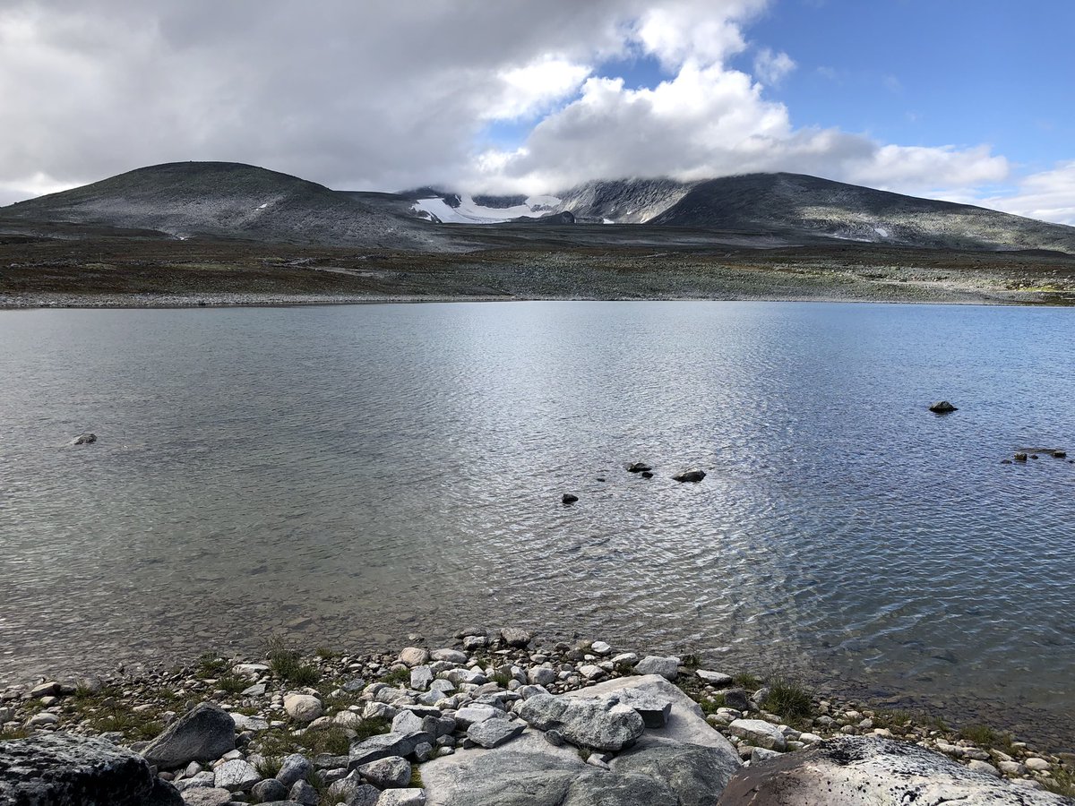 Sabine_Pronk's tweet image. Dieper #Dovrefjell in. Vlak onder de hoogste berg #Snøhetta die aan het eind van de middag bijna uit de wolken kwam.