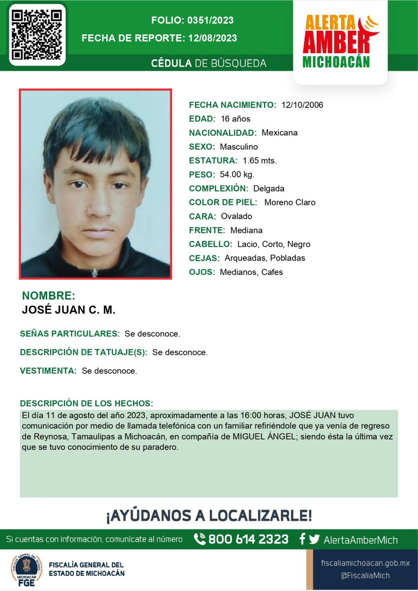 Alerta Amber Mich. tweet media