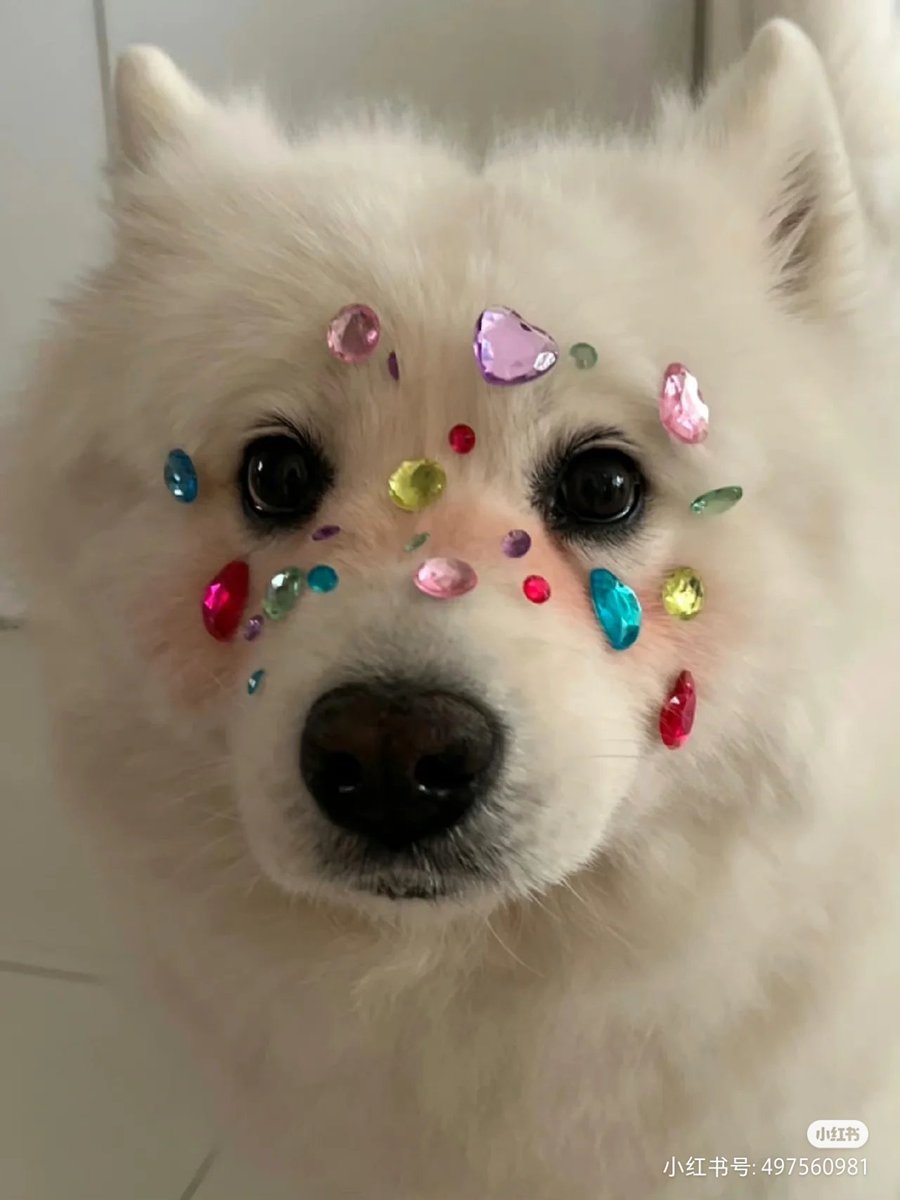 woof