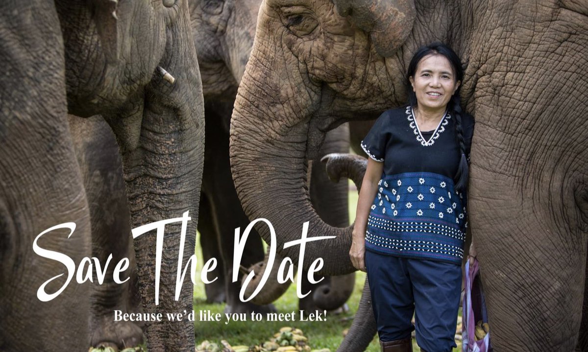 LEAPyeg's tweet photo. We cannot shout this enough 
World 🐘 expert and conservationist is coming to Edmonton 🇨🇦
@shoplocalyeg @EdmontonChamber @yelpedmonton @CRAFTbeeryeg @cashmobyeg @edmontonmade @TireEdmonton @edmontonpolice @CanadianTire 
Will you join us for an elephantastic  evening 🐘 💜🐘💜🐘💜 https://t.co/IYV3qPwLMP