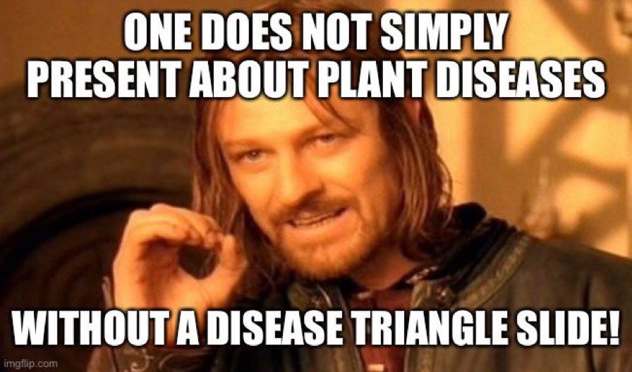 I’m still waiting to see a disease triangle people! #PlantHealth2023