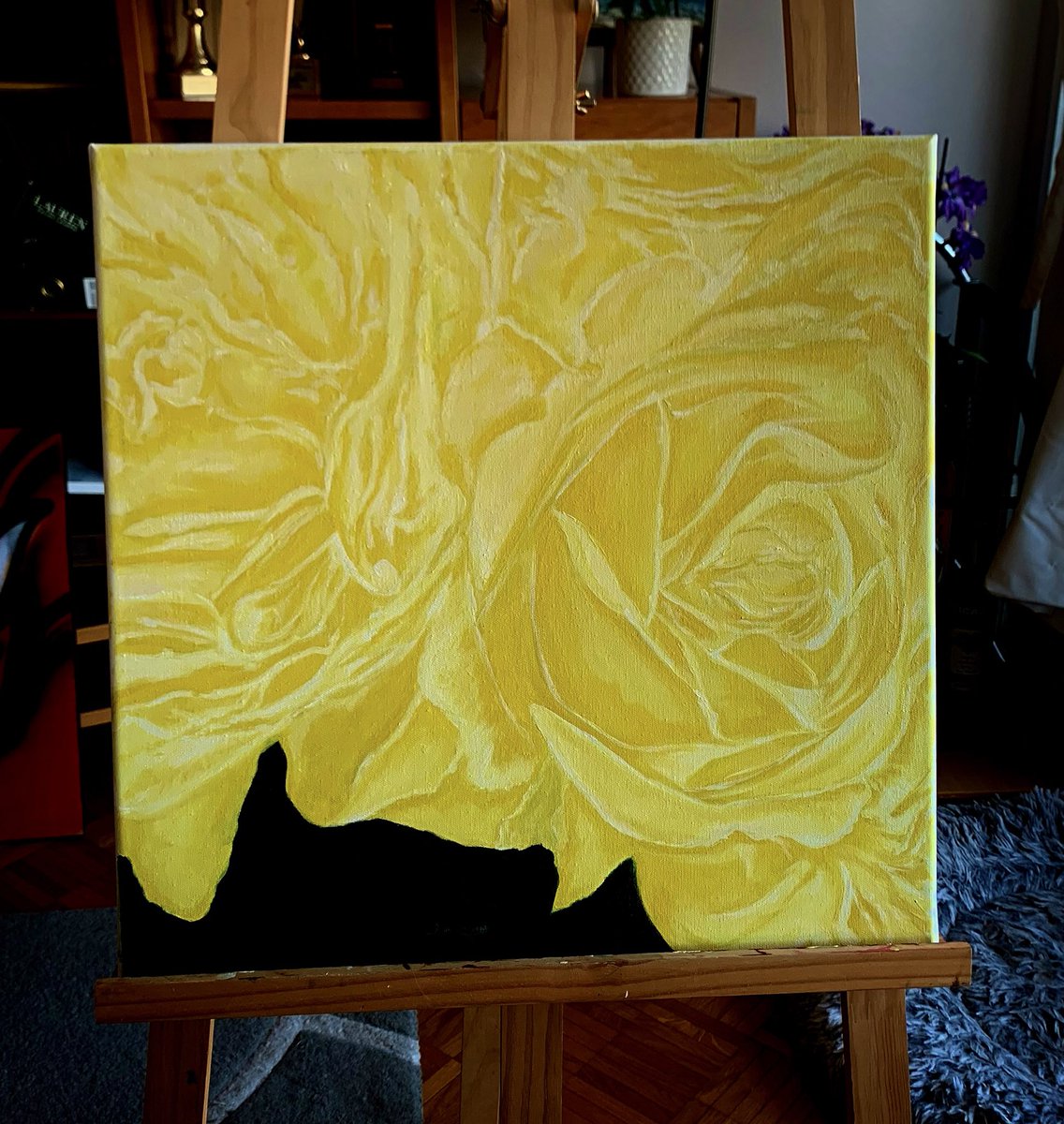 sharedlights's tweet image. Dimanche laborieux à Marseille.
Le bouquet de roses jaunes prend forme ! 
💛
Laborious Sunday in Marseille.
The bouquet of yellow roses is taking shape!