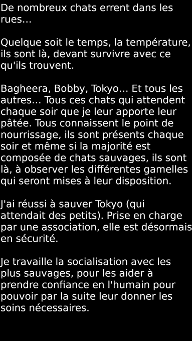 J'ai besoin de votre aide, vous savez comme la cause animale me tient &agrave; coeur. Je fais tout mon possible<a href="/tag/advent"class="tags"><span>#advent</span></a><a href="/tag/nsfw"class="tags"><span>#nsfw</span></a><a href="/tag/chaturbate"class="tags"><span>#chaturbate</span></a><a href="/tag/adventcalendar"class="tags"><span>#adventcalendar</span></a><a href="/tag/lingeriepic"class="tags"><span>#lingeriepic</span></a>