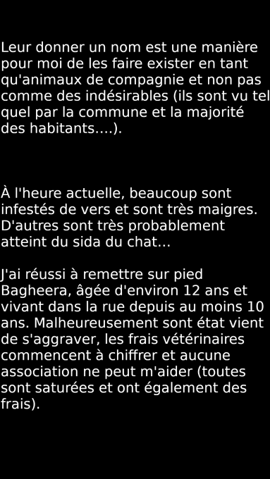J'ai besoin de votre aide, vous savez comme la cause animale me tient &agrave; coeur. Je fais tout mon possible<a href="/tag/lingerie"class="tags"><span>#lingerie</span></a><a href="/tag/exhibition"class="tags"><span>#exhibition</span></a><a href="/tag/advent"class="tags"><span>#advent</span></a><a href="/tag/nsfw"class="tags"><span>#nsfw</span></a><a href="/tag/adventcalendar"class="tags"><span>#adventcalendar</span></a>