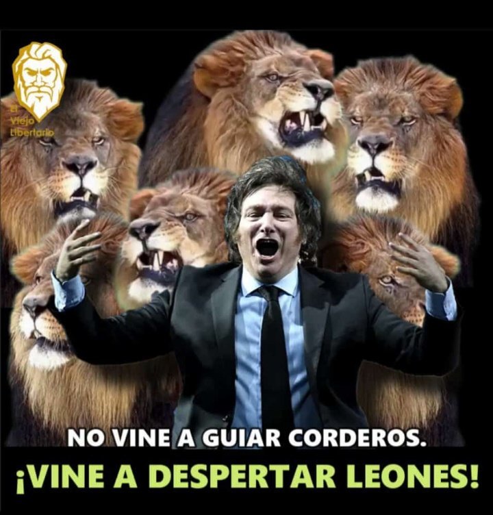 xAfromcx's tweet photo. @JMilei  @ElPelucaMilei  está foto me vuelve locooooo https://t.co/qAKtRyo21W