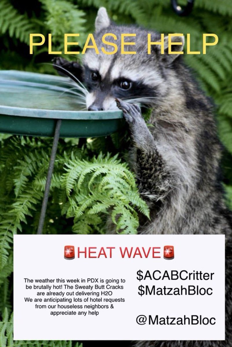 It is already very hot and we are getting requests for rooms. Please, if you are able, help.