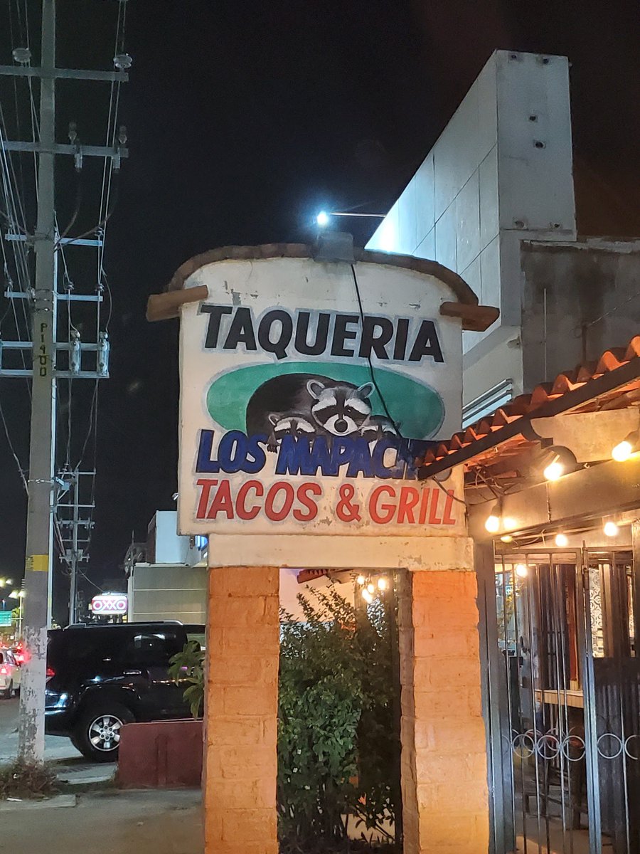sweetraccoons's tweet photo. Dreaming of a romantic dinner at Taqueria Los Mapaches https://t.co/NhfhjwsYjM