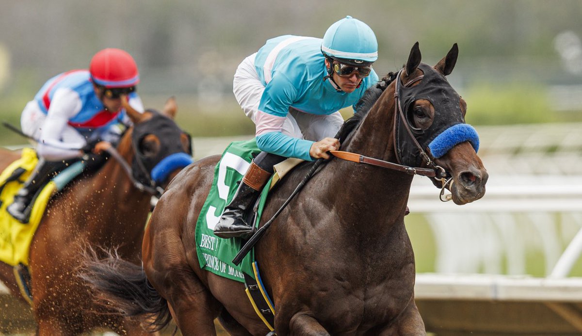 A_Evers's tweet image. Prince of Monaco holds the fastest 6f time @DelMarRacing this season winning the Best Pal Stakes. 1:09.19!! A very cool son of Speightstown   !!