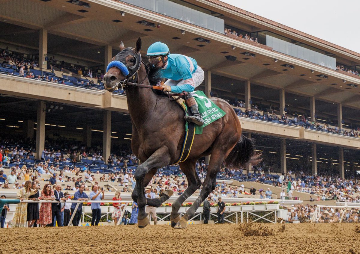 A_Evers's tweet image. Prince of Monaco holds the fastest 6f time @DelMarRacing this season winning the Best Pal Stakes. 1:09.19!! A very cool son of Speightstown   !!