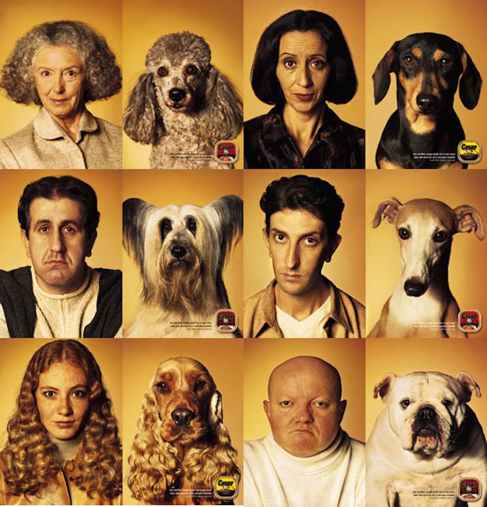 DogLoversDigest's tweet photo. Many dog owners surprisingly resemble their pets, a phenomenon known as the 'Pet-Owner Look-Alike', which could be influenced by subconscious preferences, shared lifestyles, or our innate pattern recognition abilities. https://t.co/9Txk2S1i8r