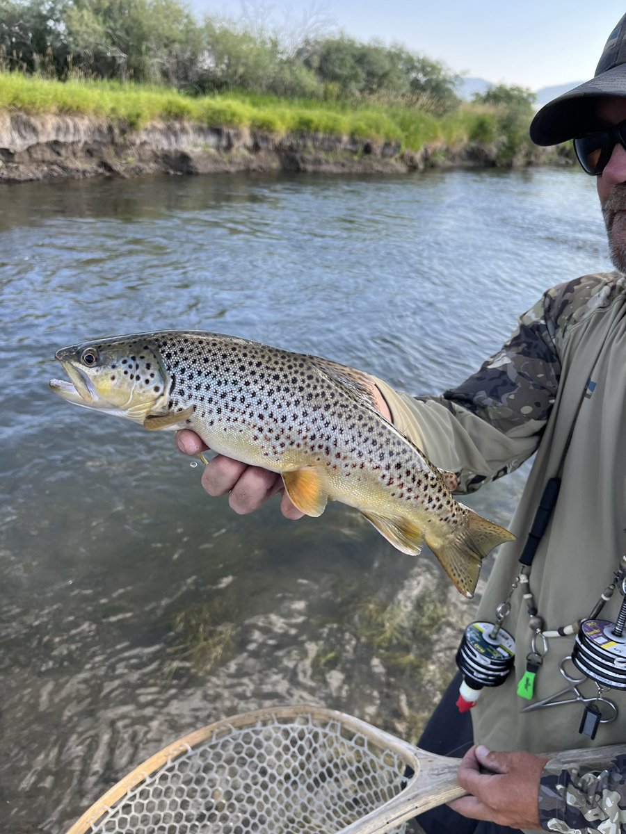 brenthitson's tweet photo. More #flyfishing in the Great State of #Montana with @montanaangler https://t.co/qlCNvMJS7H