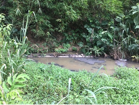 <a href="/HidroCapital2/">Hidrocapital</a> Manzanares esta apunto de quedar incomunicada por 70 mts de colector partido frente a la estacion de Bombeohace mas de 4 años. #ManzanaresEnEmergenciaSanitaria