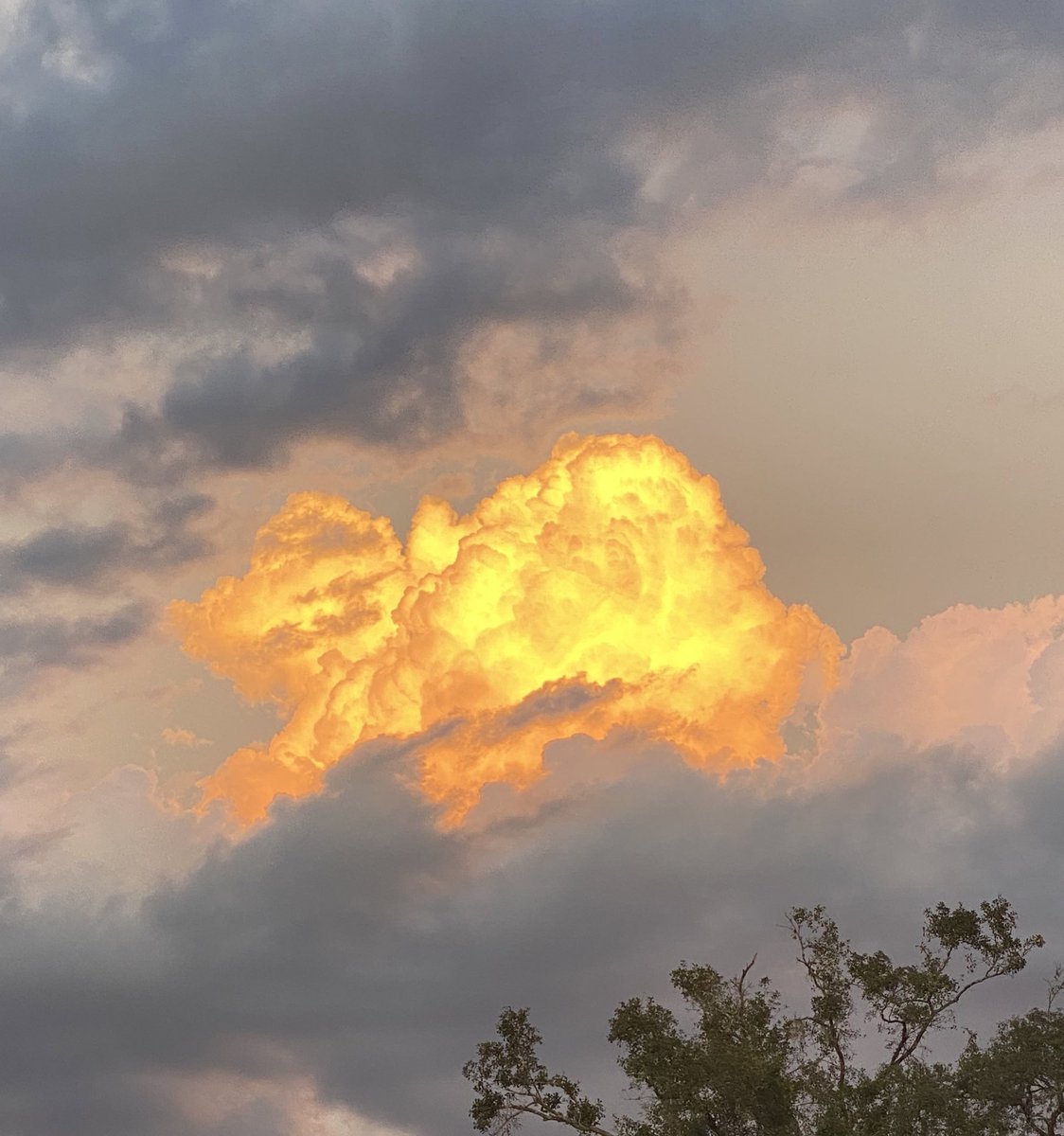 SuperJen1117's tweet photo. Fiery looking sunset cloud 😯🔥 #RiverviewFL @PaulFox13 https://t.co/APBk2pmnpx